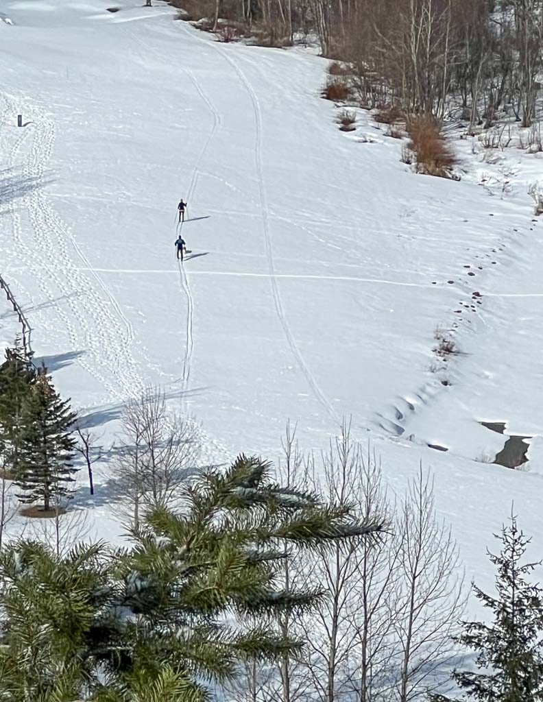 Cross country skiers in Whistler near Green lake