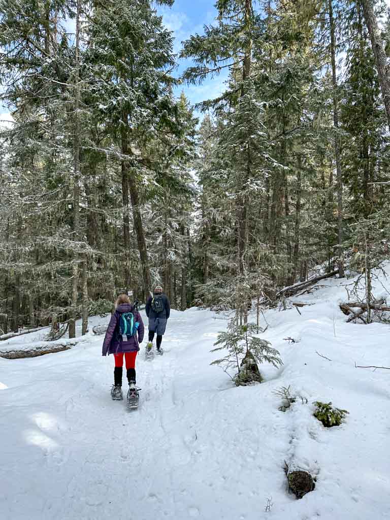 Snowshoers on a trail in Whistler