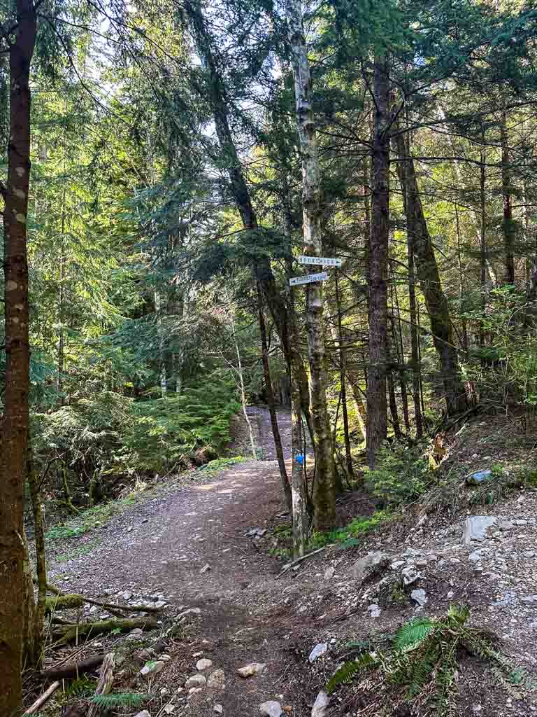 Junction with the trail to Brunswick Mountain