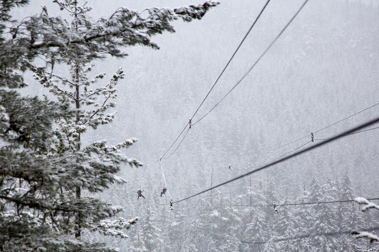 Ziplining in winter in Whistler. A great activity for non-skiers.