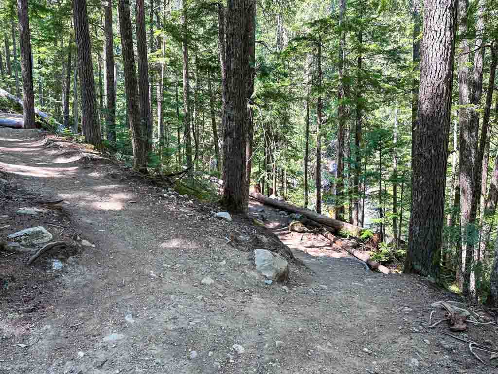 Junction on the Rainbow Falls Trail