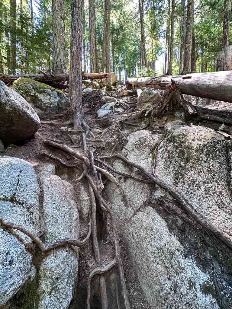 The trail down to Rainbow Falls