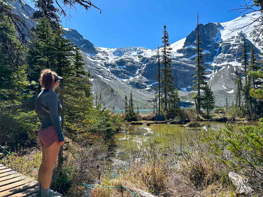 A hiker looks at mountains with a marsh in the background