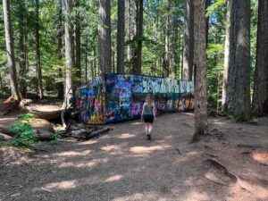 Whistler Train Wreck Hike