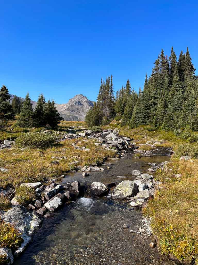 A stream near Big Shovel Pass in Jasper National Park