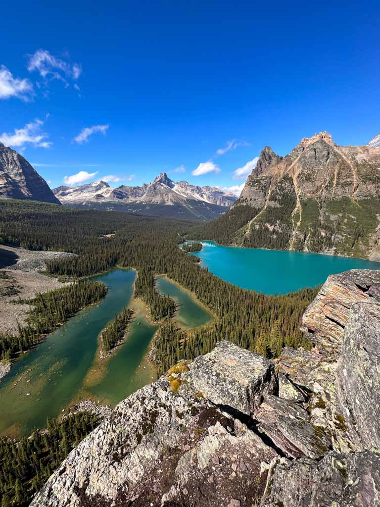 View from Opabin Prospect