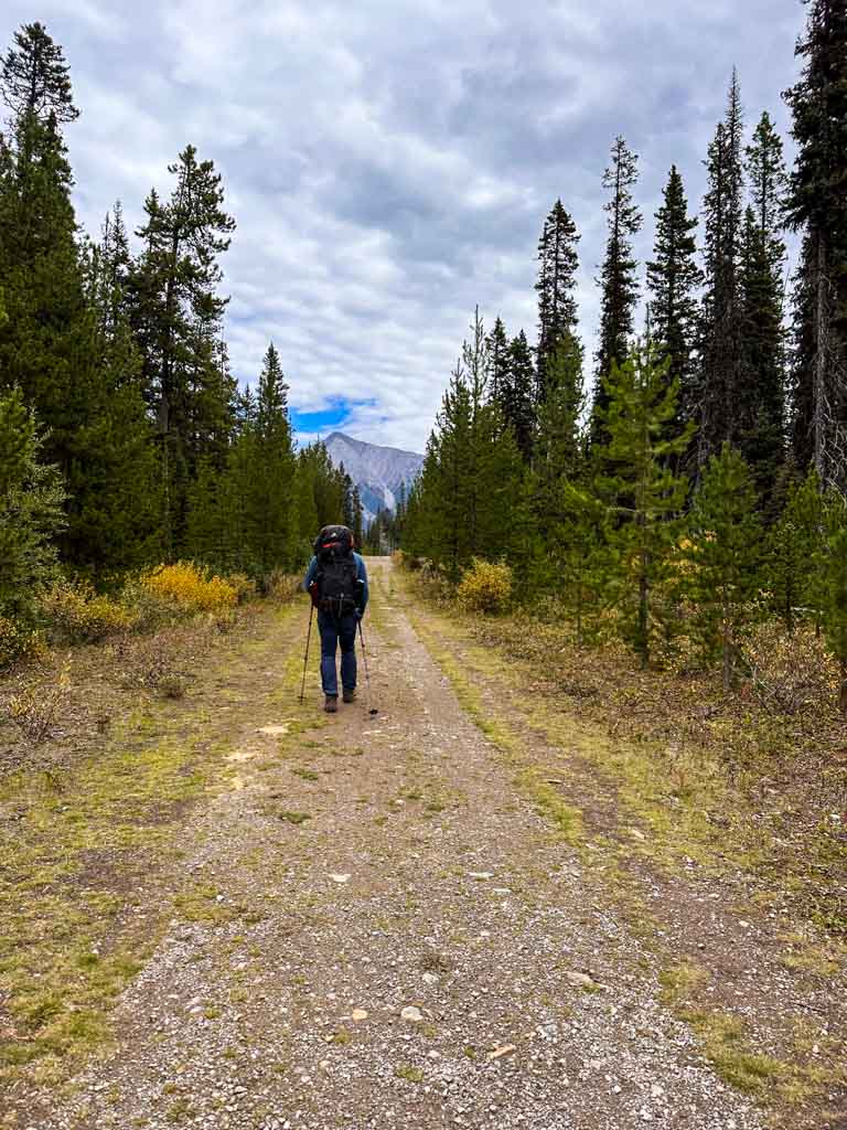 A hiker on the Wattridge Lake Trail near Mount Shark Trailhead