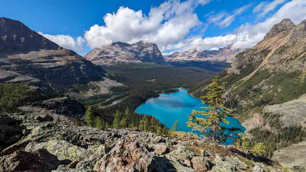 Looking down to Lake O'Hara from Yukness Ledges