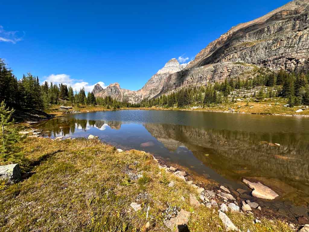 Reflections in one of the small lakes on the Opabin Plateau