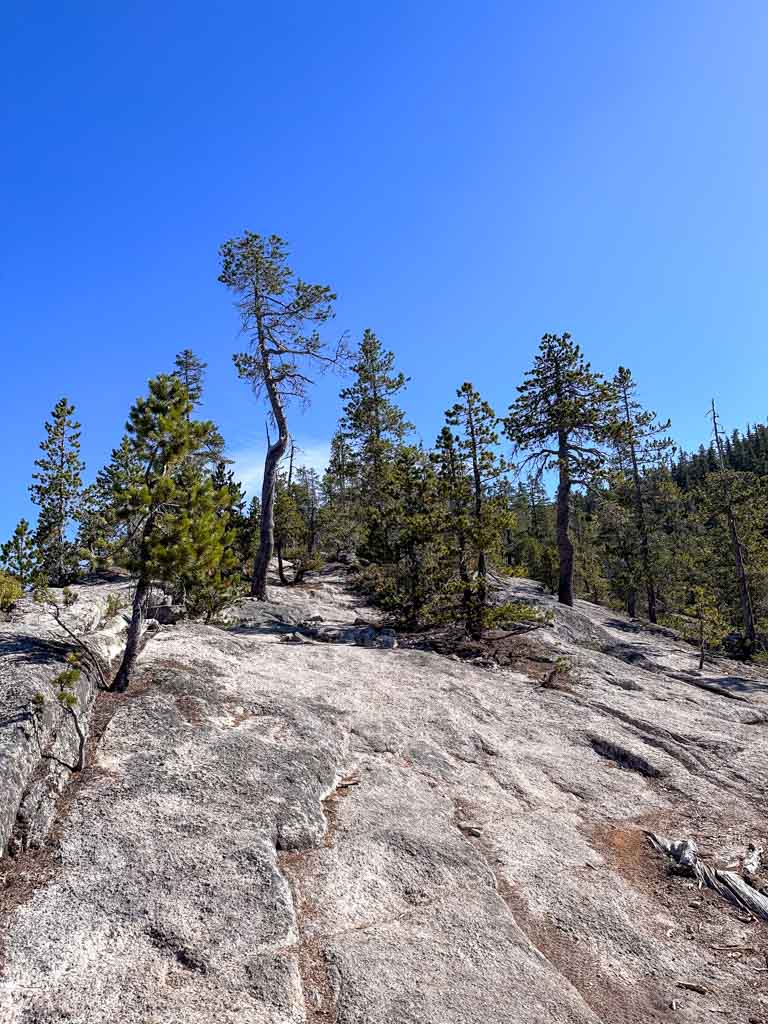 Granite ridge above the Sea to Sky Gondola