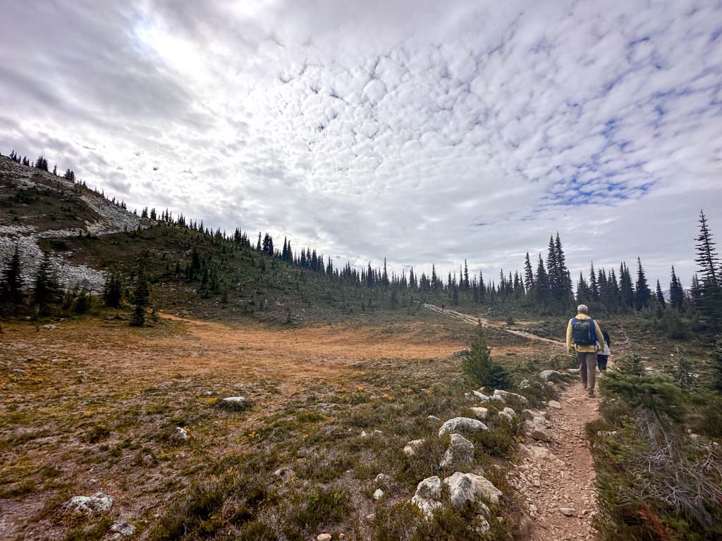 Meadow on the Overlord Trail