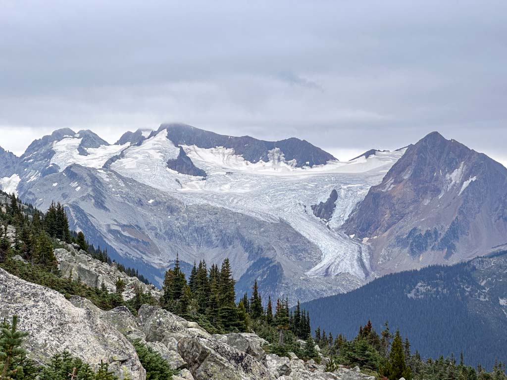 View of the glaciers from Blackcomb Trails