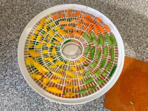 Dehydrating Food For Backpacking: A Beginner’s Guide