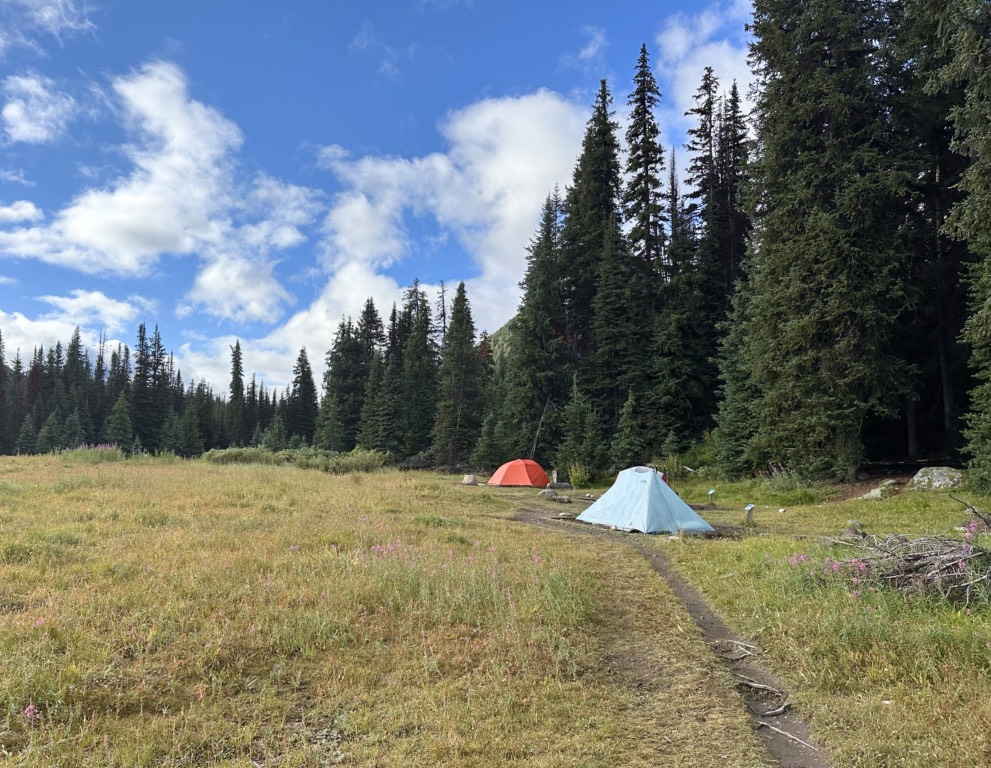 Tents in a meadow at Egypt Lake Campground