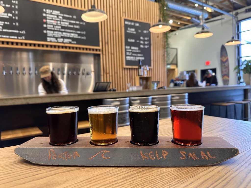 A light of four bears on a paddle at Tofino Brewing
