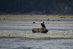 Visiting Harrison Hot Springs in Winter