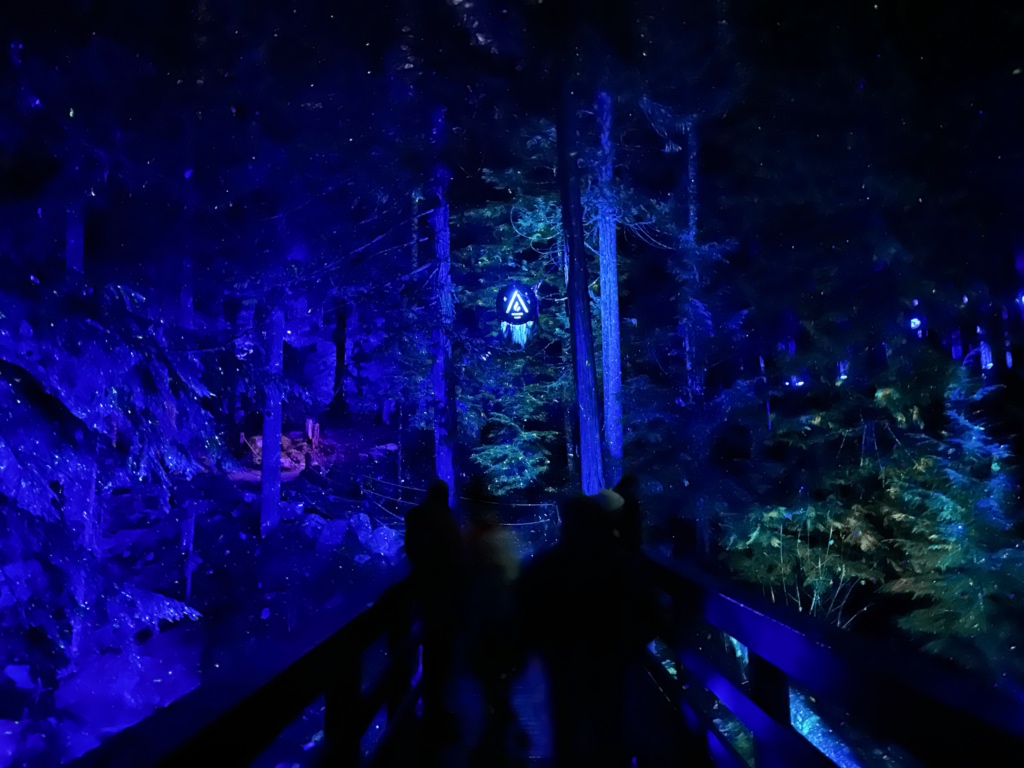 People walk through the Vallea Lumina light walk in Whistler