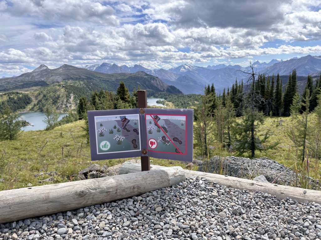 A sign next to the trail at Sunshine Meadows shows hikers that they should stay on the trail to protect the plants