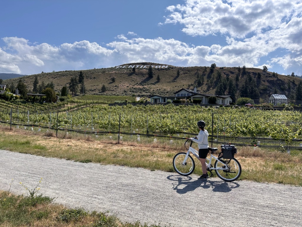 Biking through the vineyards on the Kettle Valley Rail Trail