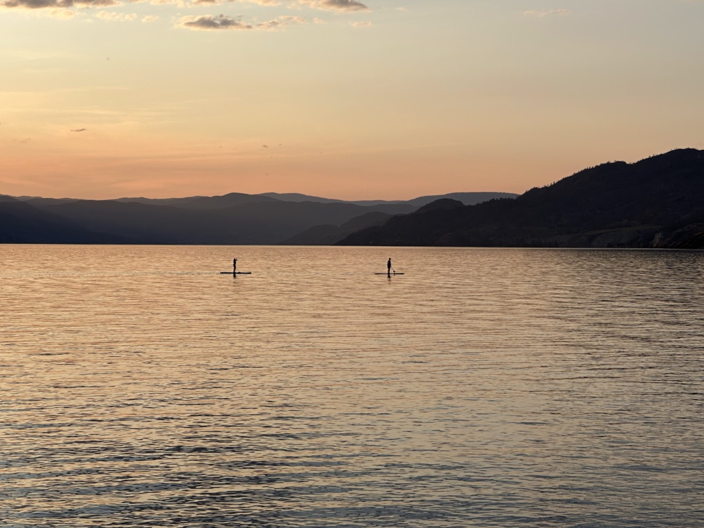 Paddleboarders at sunset in Naramata