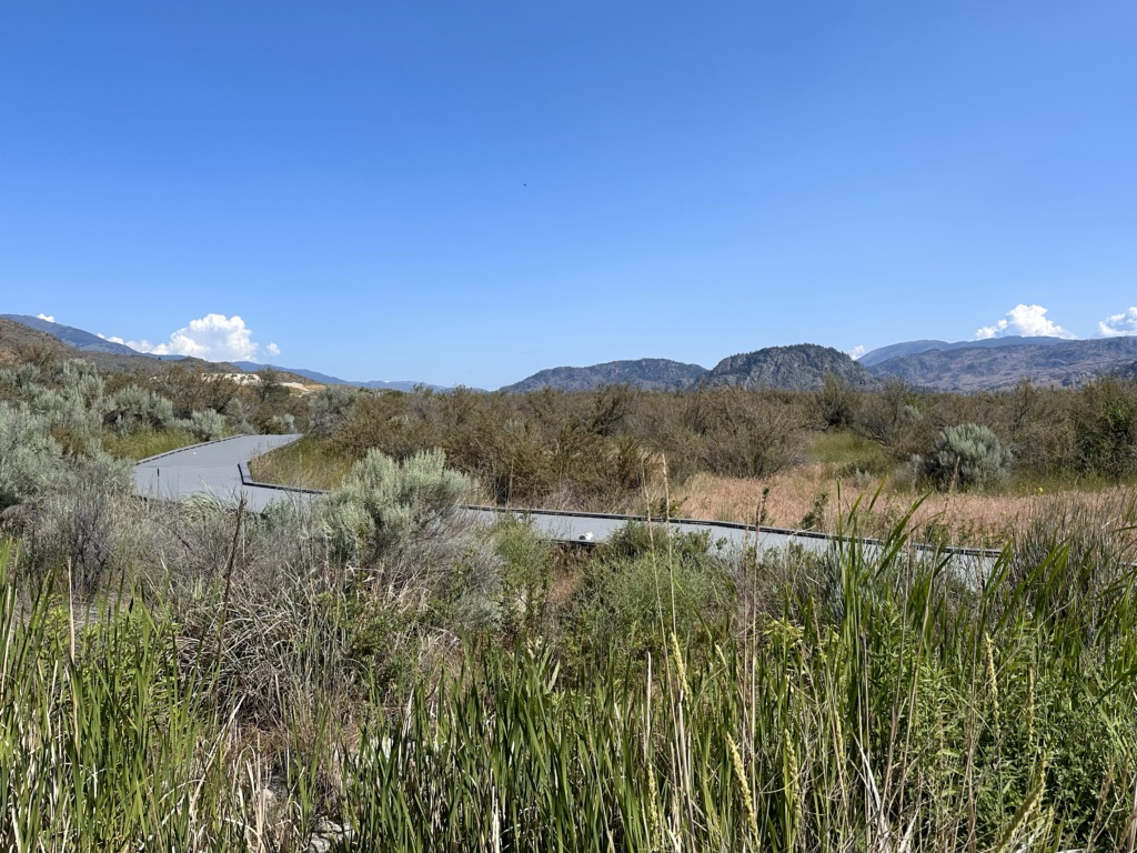 Boardwalk at the Osoyoos Desert Centre