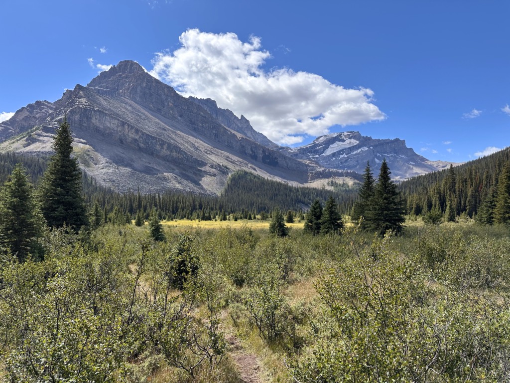View of the mountains from near Merlin Meadows Camp