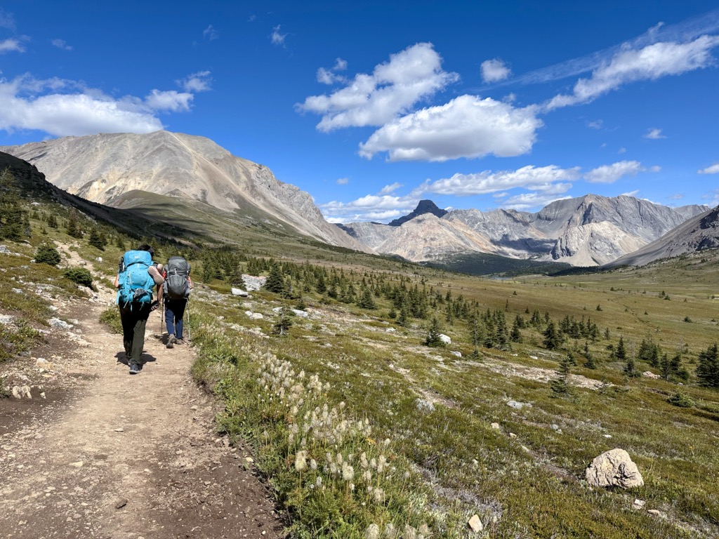 Hikers in wildflower meadows near Ptarmigan Lake in Banff National Park