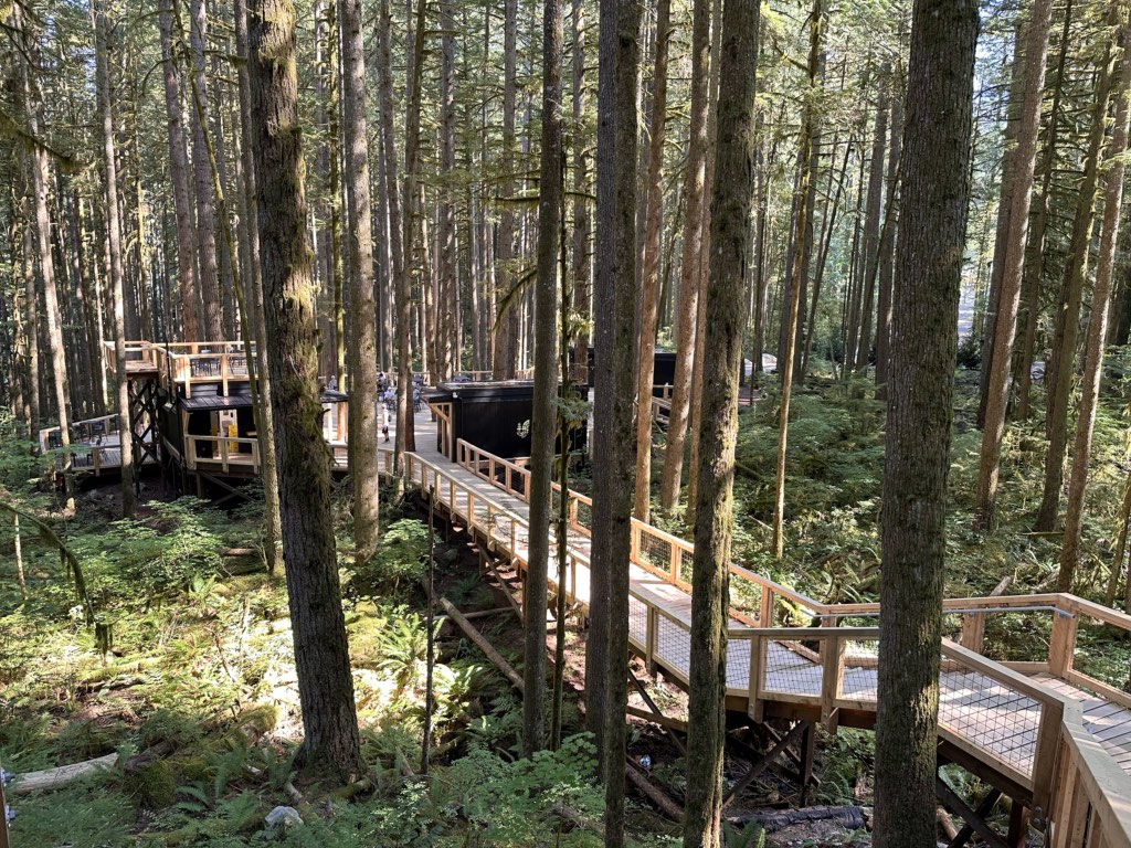 Boardwalk and Forest Lounge at Squamish Canyon