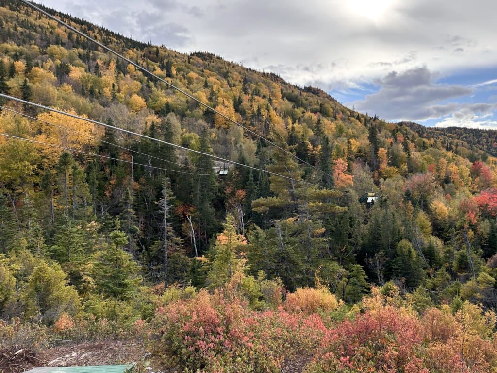 Fall colours at Marble Zip Tours in Corner Brook