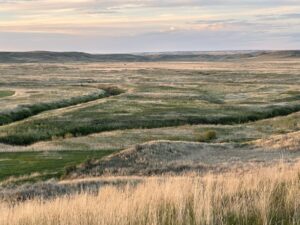 Grasslands National Park Travel Guide