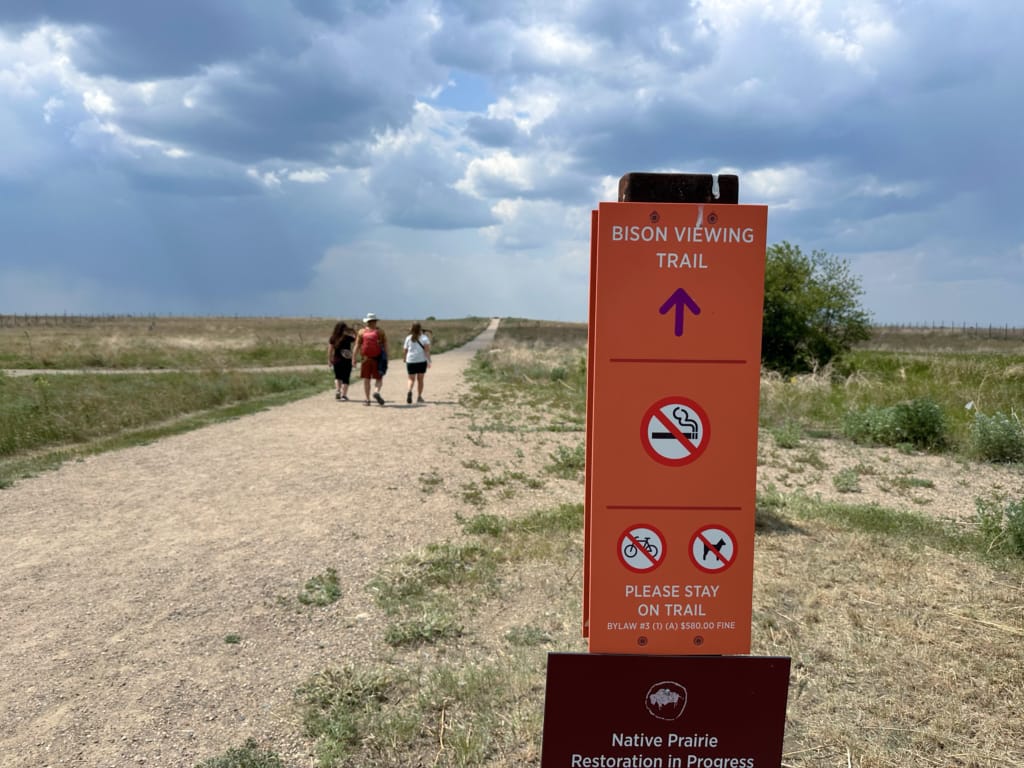 A sign at the entrance to the Bison Viewing Area at Wanuskewin Heritage Park