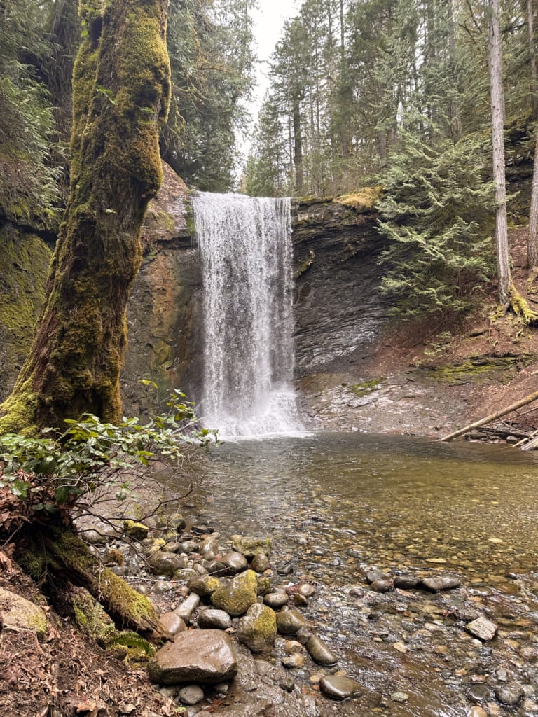 Ammonite Falls