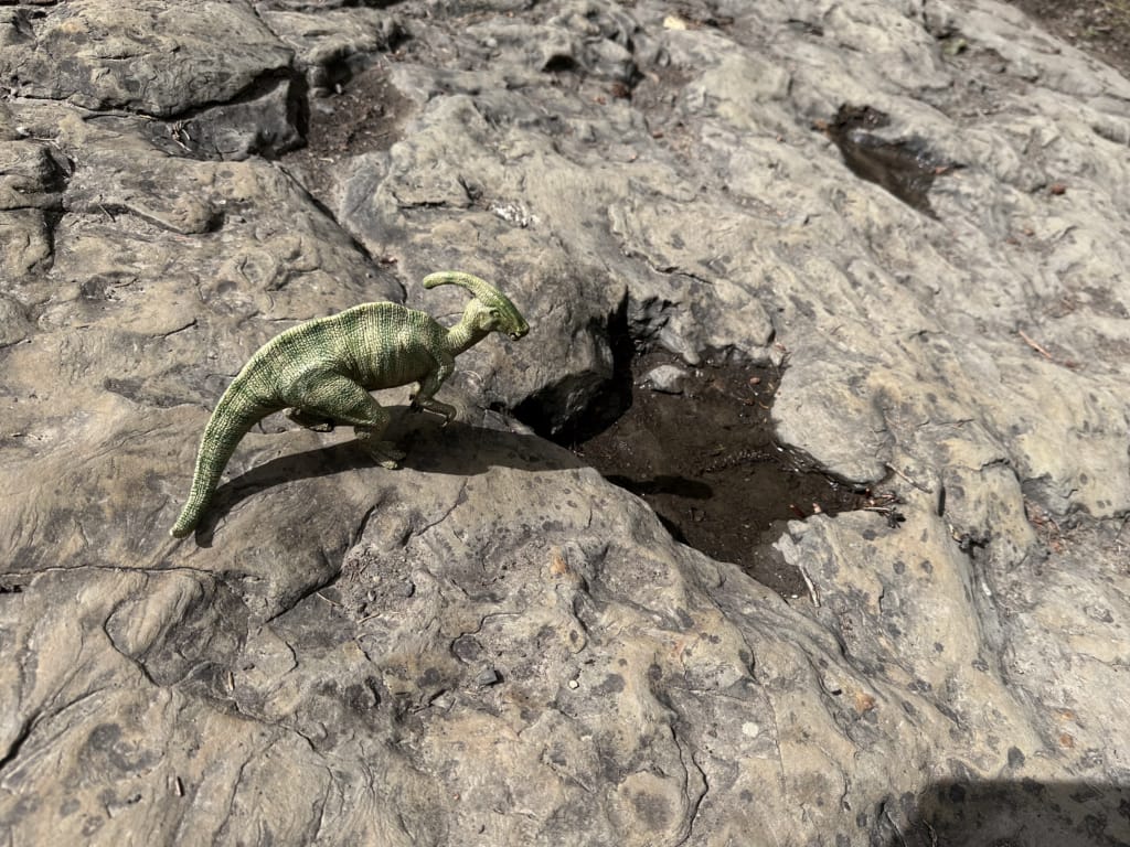 Dinosaur tracks in Tumbler Ridge with a tiny plastic dinosaur next to them showing the species. 