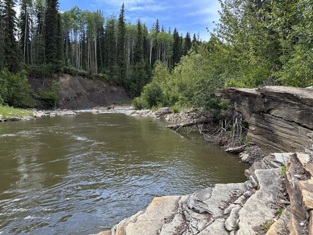 Flatbed Creek in Tumbler Ridge near the dinosaur trackway