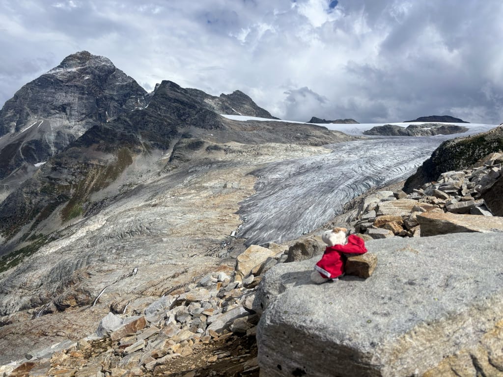 A stuffed goat on a rock with glaciers in the background in Glacier National Park 