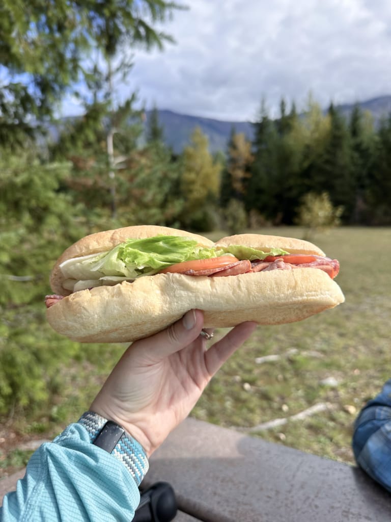A hiker holds a sandwich from Golden Bakery and Deli close to the camera on a hike. 