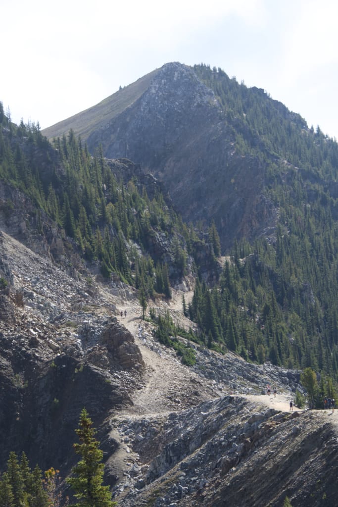 Hikers on the Terminator Ridge Trail at Kicking Horse Mountain Resort