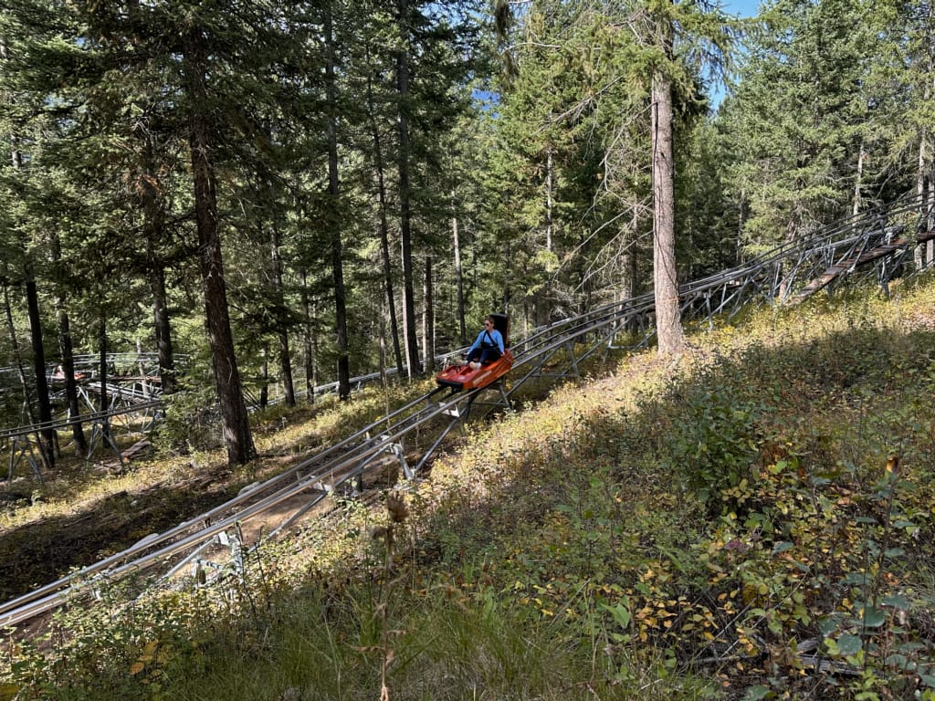 Riding the Mountain Coaster at Golden Skybridge