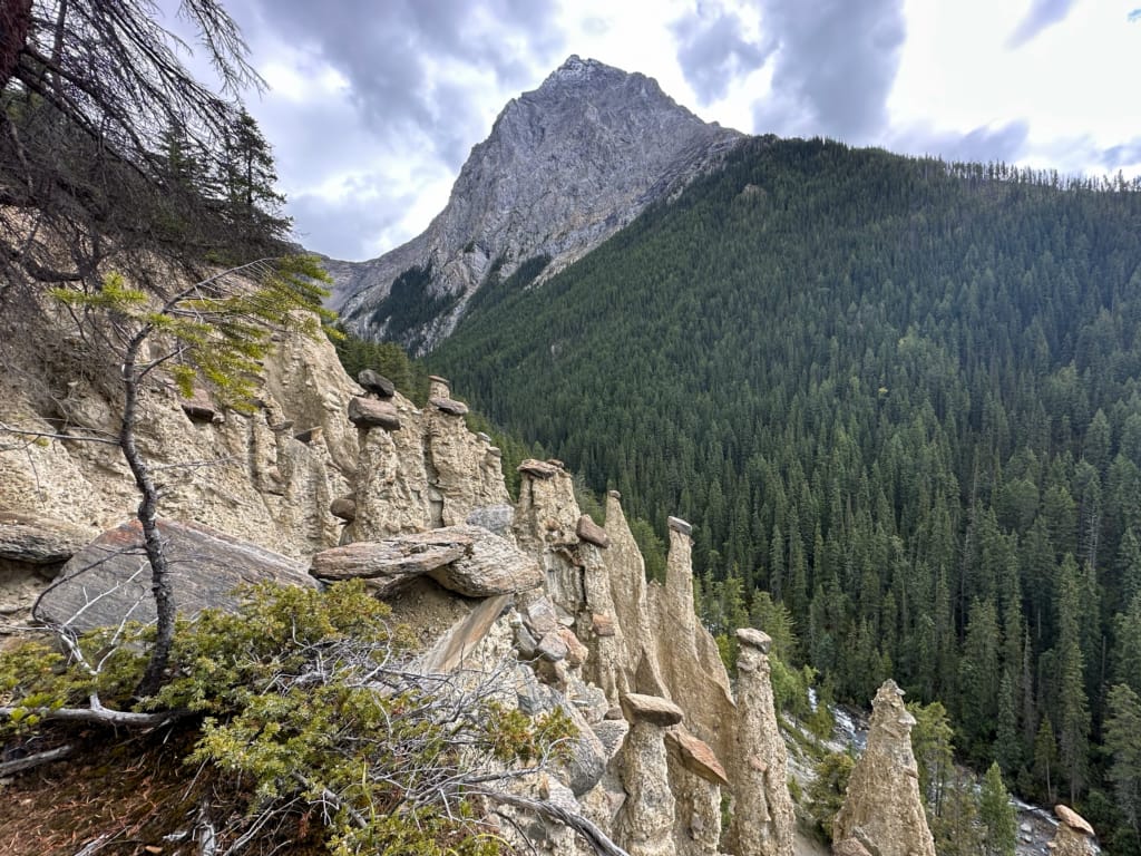 View from the upper viewpoint on the Hoodoo Creek Trail in Yoho National Park