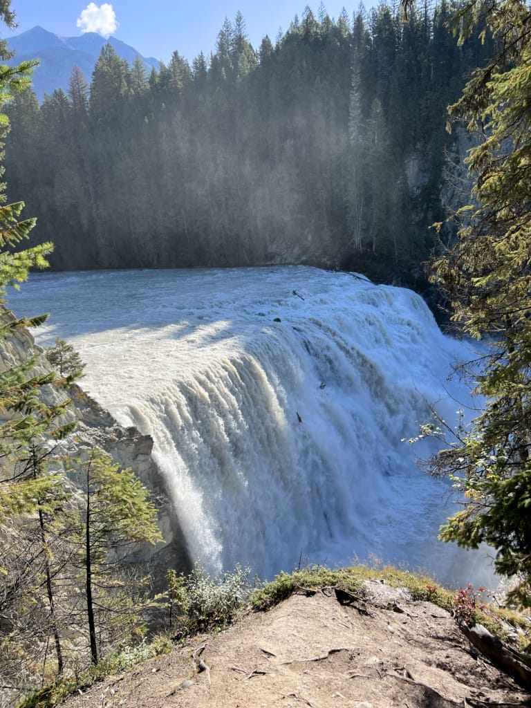 View of Wapta Falls near Golden, BC from the trail